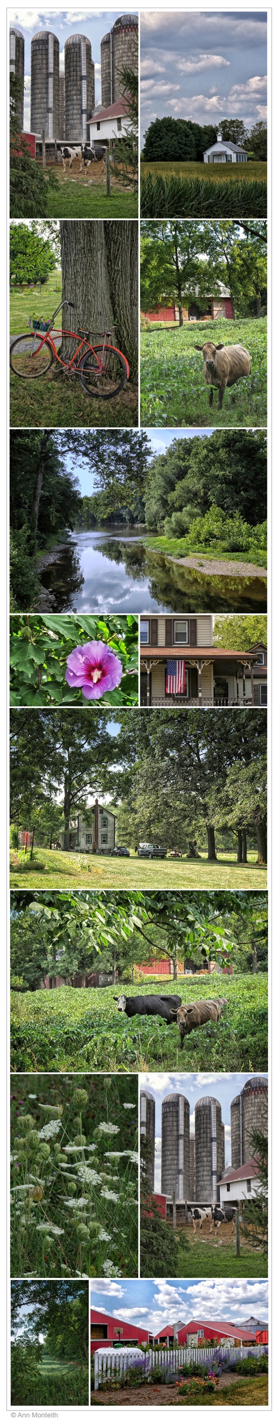 Lebanon County Collage_Lt.1